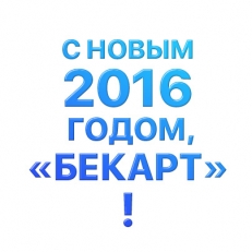 Новогодний корпоративный вечер компании «Бекарт-Липецк»