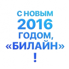 Новогодний корпоративный вечер компании Билайн