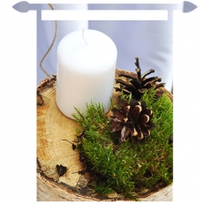 Эко-свадьба Никиты и Анастасии