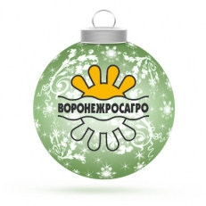 Новогодний корпоративный вечер «ВоронежРосАгро»